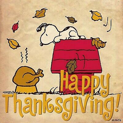 Snoopy Thanksgiving, Thanksgiving Meme, Thanksgiving Snoopy, Peanuts Thanksgiving, Happy Thanksgiving Images, Thanksgiving Cartoon, Charlie Brown Thanksgiving, Thanksgiving Pictures, Thanksgiving Images