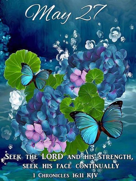 #Fr2377 #May27 2020 #13483 2019 #1Chronicles16v11 KJV #DailyBlessing  www.facebook.com/Judiann.F December Scriptures, Words Of Faith, Blessed Wednesday, Inspirational Verses, Seek The Lord, Good Morning God Quotes, Butterfly Images, Morning Blessings, Daily Bible Verse