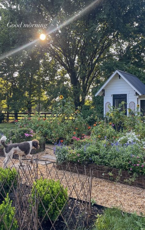 Simple Farm Life Aesthetic, Mini Horse Farm, Crops Aesthetic Farm, Little Farm Aesthetic, Building A Farm, Cute Farm Aesthetic, Small Farm Life, Farm Work Aesthetic, Small Farm Aesthetic