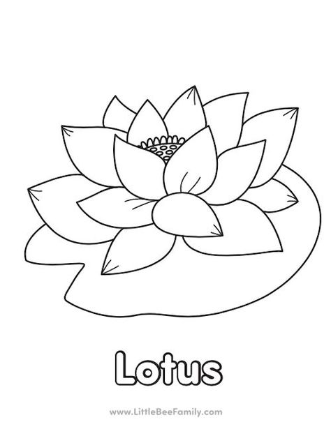 Lotus Coloring Page Wishlist Printable, Coloring Pages Activities, Starfish Colors, Dot Marker Activities, Bee Family, Dot Markers, Mystery Of History, Alphabet Coloring, Color Therapy