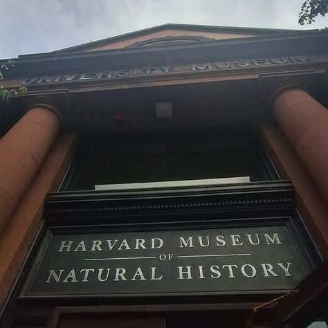 Harvard Recap!❤️ Harvard Professor Aesthetic, Phd Aesthetic, Harvard Aesthetic, Professor Aesthetic, Harvard University, August 12, Natural History, Big Boys, Biology