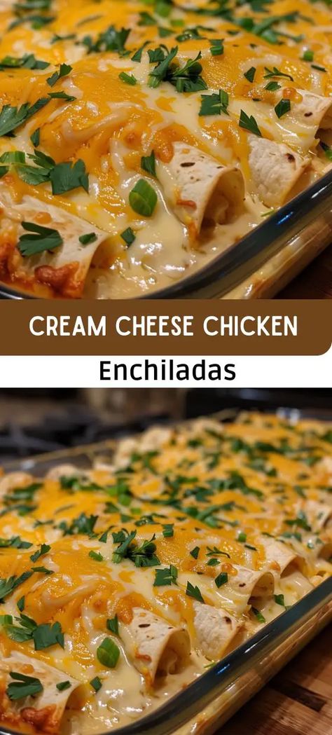 Cream Cheese Chicken Enchiladas Cream Cheese Enchiladas, Cream Cheese Chicken Enchiladas, Easy Chicken Enchilada Recipe, Enchilada Casserole Recipes, Creamy Chicken Enchiladas, Chicken Enchiladas Easy, Cheese Enchiladas, Chicken Enchilada Casserole, Cheese Chicken