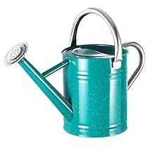 Sprinkler Heads, Metal Watering Can, Watering & Irrigation, Living Water, Water Design, Water Flowers, Metal Flowers, Water Plants, Steel Handle