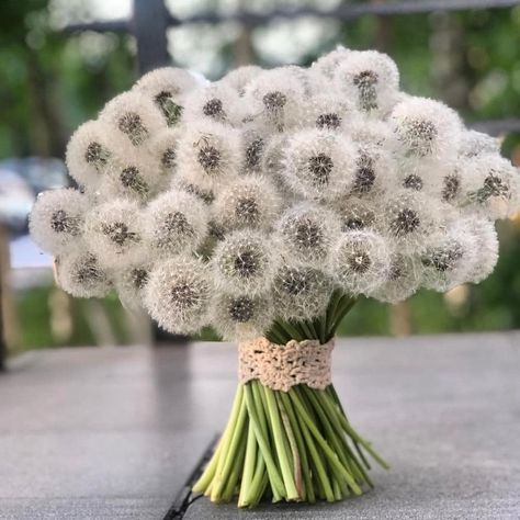 Master Florist on Instagram: “Pull out the weeds, or make peace with the dandelions.”✨ Created by Master Florist @__lilit_aghayan__ from Armenia 🇦🇲 #masterflorist…” Dandelions Bouquet, White Dandelion, Dream Place, Make Peace, Shabby Chic Wedding, Travel Lover, Flowers Bouquet, White Flowers, Florist