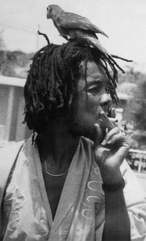 Peter Tosh. Miniature Poster, Bob Marley Legend, Bob Marley Pictures, Rasta Man, Peter Tosh, Reggae Artists, Card Frame, The Wailers, December 1st