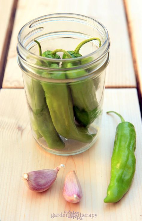 Deli Pickles Recipe, Shishito Pepper Recipe, Shishito Pepper, Pickled Asparagus, Three Course Meal, Shishito Peppers, Edible Gardening, Charcuterie Plate, Garden Therapy