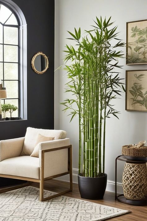 12 Best Indoor Faux Plants Pokok Hiasan Dalam Rumah, Bamboo Indoor Plant, Bamboo Plant Indoor, Plants Corner, Indoor Bamboo Plant, Bamboo Plant Decor, Bamboo Indoor, Bamboo Image, Indoor Bamboo