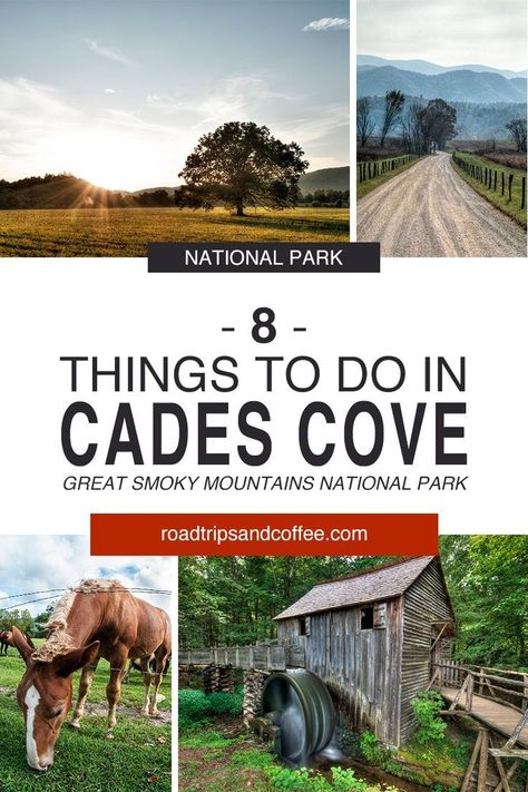 Cades Cove is perhaps the most-visited destination inside the Great Smoky Mountains National Park. The one-lane, one-way Cades Cove Loops Road travels around the cove to hiking trails, historic buildings, the John Cable Grist Mill, and chances for beautiful scenery and horseback riding. Here are a few things to do in Cades Cove. #travel #nationalpark #greatsmokymountains #cadescove #tennessee #GoForaDrive Cades Cove Photography, Smoky Mountains Photography, Gatlinburg Tennessee Vacation, Smokey Mountains National Park, Tennessee Road Trip, Smokey Mountains Vacation, Cades Cove Tennessee, Gatlinburg Vacation, Smoky Mountains Vacation