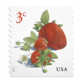 Postcard Stamps Vintage, Vintage Mail Stamps, Strawberry Postage Stamp, Cool Stamps Postage, Us Postage Stamps, Post Stamp Art, Postage Stamp Drawing, Aesthetic Stamps, Stamps Aesthetic