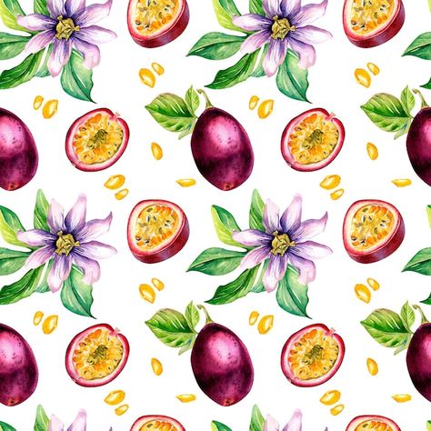 Watercolor Passion Flower, Passion Fruit Aesthetic, Maracuja Fruit, Passiflora Edulis, Menu Recipe, Photo Purple, Fruit Splash, Witch Coffee, Valentines Illustration