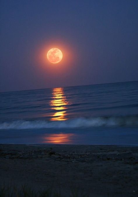 Moon Beauty, Shoot The Moon, Moon Photos, Moon Pictures, Good Night Moon, Bohol, Moon Light, Sun Moon Stars, Beautiful Moon