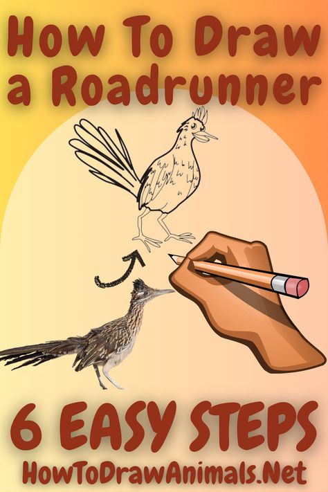 learn how to easily draw and color a speedy roadrunner Roadrunner Art, Art Of Drawing, Easy Drawing Tutorial, Paper Pencil, Drawing Tutorial Easy, Easy Drawing, Road Runner, Rock Crafts, Wildlife Art