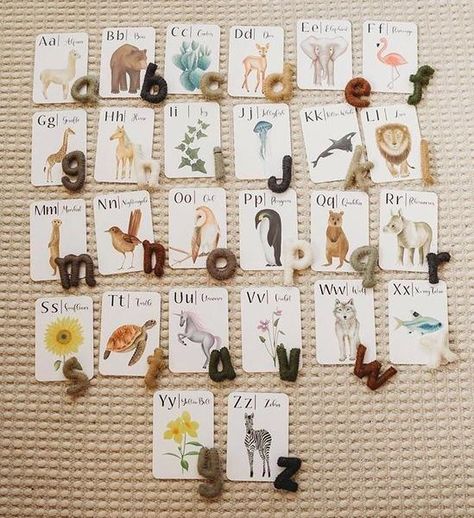 Abc Flash Cards, Teaching Letter Recognition, Abc Flashcards, Teaching Letters, Preschool Age, Letter Recognition, Amazing Facts, Natural Baby, Learning Tools