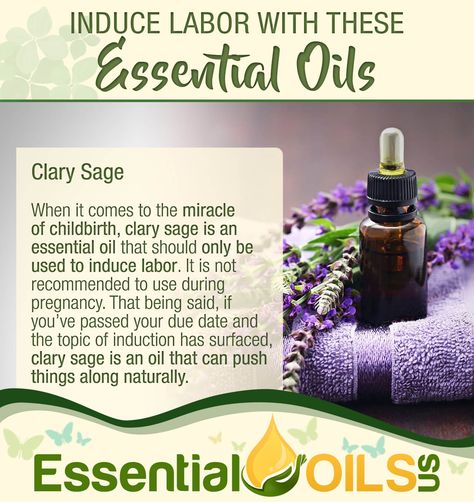 5 Essential Oils to Induce Labor Naturally Essential Oils For Labor Induction, Clary Sage Oil To Induce Labor, Clary Sage For Labor, Clary Sage Induce Labor, Clary Sage Essential Oil Labor Induction, Clary Sage For Labor Induction, Essential Oils To Induce Labor, Essential Oils For Labor, Induction Labor