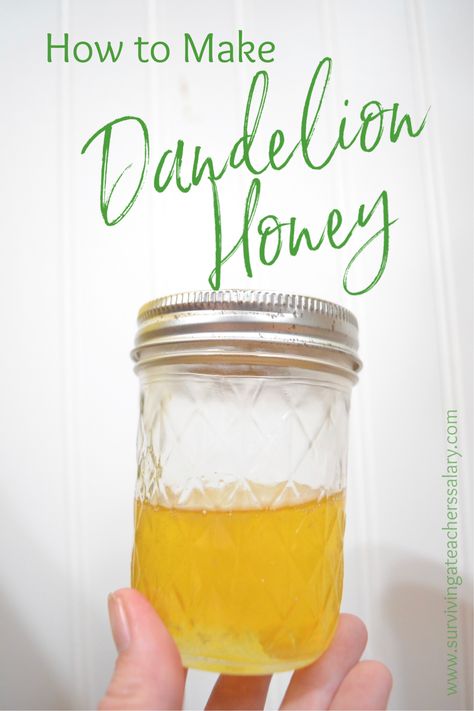 Easy Dandelion Recipes, Dandelion Honey Recipe Easy, Dandelion Honey How To Make, How To Make Dandelion Honey, Dandelion Syrup Recipe, Pickles Apples, Dandelion Honey Recipe, Backyard Foraging, Foraged Recipes