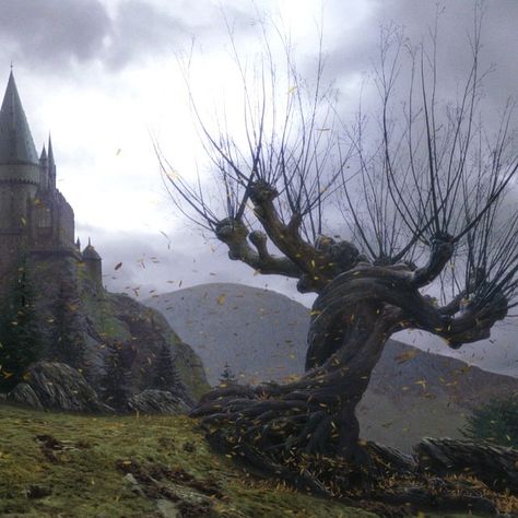 Creating the Whomping Willow tree required close collaboration between the arts, visual effects, and special effects departments. The combined efforts of all three departments resulted in the creation of an actual tree, albeit in parts, which ended up standing eighty-five feet tall. #HarryPotter Dark Harry, Shifting To Hogwarts, Hp Aesthetic, Marauders Dr, The Prisoner Of Azkaban, Hogwarts Is My Home, Harry Potter Dr, Hogwarts Aesthetic, The Prisoner