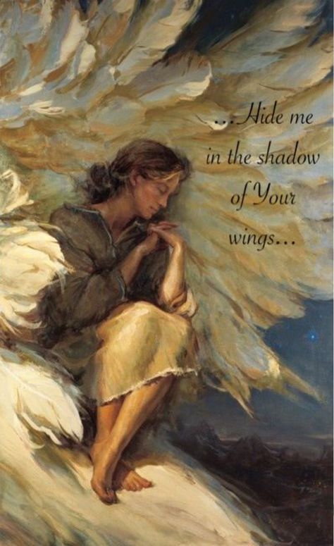 Word For The Day, Psalm 17, Answer Me, Under His Wings, My Prayer, Under The Shadow, Prophetic Art, Ayat Alkitab, Angels Among Us