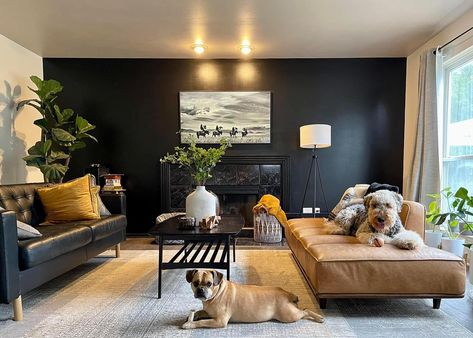 Black Accent Wall Living Room Ideas, Living Room Black Accent Wall, Black Accent Wall Living Room, Black Accent Wall, Apartment Remodel, Modern Accent Chairs, Fabric Lounge Chair, Chairs Lounge, Black Accent Walls