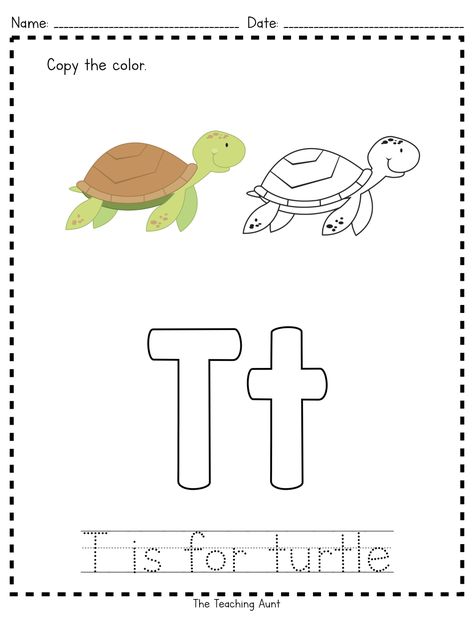 T is for Turtle: Paper Pasting Activity - The Teaching Aunt Turtle Activities For Preschool, Reptile Activities, T Is For Turtle, Preschool Apple Activities, Coloring Pages Alphabet, Letter Flashcards, Letter Worksheets For Preschool, Coloring Letters, Toddler Organization