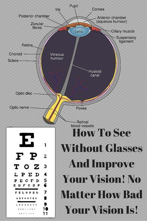 Perfect Eyesight, Eye Sight, Natural Health Remedies, Alternative Health, Back To Nature, Eye Health, Natural Home Remedies, Health And Beauty Tips, Natural Medicine