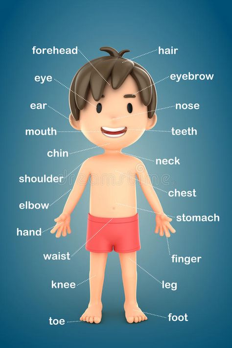 Parts of the body. 3d render of a boy showing parts of the body #Sponsored , #PAID, #Sponsored, #body, #parts, #render, #Parts Human Body Parts Drawing For Kids, Part Of The Body Activities, Body Chart Drawing, Parts Of Body Drawing, Parts Of Body Chart, Parts Of The Body For Kids Worksheet, Parts Of The Body Chart, Parts Of The Body For Kids Activities, Parts Of Body For Kids