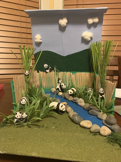 Hippo Habitat Diorama, Bird Habitat Diorama, 3d Habitat Project, Panda Habitat Diorama, Red Panda Diorama, Cheetah Habitat Diorama, Animal Diorama Habitats, Panda Diaroma, Panda Habitat Project For Kids