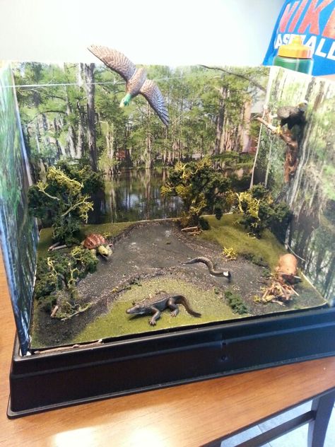 Swamp diorama Lion Habitat Project, Dinosaur School Project, Wetland Biome, Wetland Ecosystem, Ecosystems Diorama, Elementary School Projects, Rainforest Project, Biomes Project, Swamp Theme