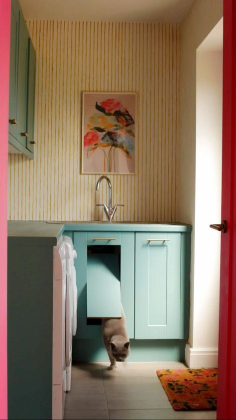 Cat Litter Cabinet, Hiding Cat Litter Box, Small Mudroom Ideas, Hidden Litter Boxes, Mudroom Cabinets, Litter Box Furniture, Cat Litter Box Furniture, Litter Tray, Cabinetry Design