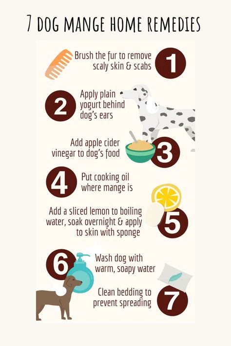 How To Treat Mange In Dogs, Dog Dander Remedy, Mange In Dogs How To Get Rid Of, Medicine Safe For Dogs, Sick Dog Remedies, Dog Mange, Dog Flea Remedies, Natural Dog Remedies, Pet Remedies