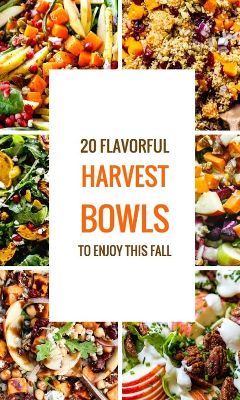 Fall Brunch, Fall Harvest Bowl, Harvest Salad, Fall Quinoa, Harvest Bowls, Best Butternut Squash Recipe, Harvest Bowl, Apple Walnut Salad, Savory Pumpkin Recipes