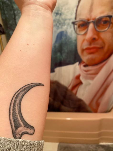 Jeff Goldblum Tattoo, Dinosaur Claw Tattoo, Velociraptor Skeleton Tattoo, Velociraptor Claw Tattoo, Life Finds A Way Tattoo, Raptor Claw Tattoo, Carnotaurus Tattoo, Jurassic Park Tattoo Ideas, Jurassic World Tattoo