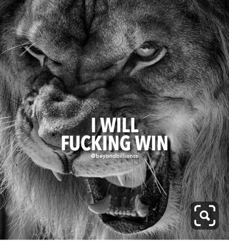 Warrior Motivation, Motivational Quotes For Men, Ambition Quotes, Lion Quotes, Warrior Quotes, Success Motivation, Men Quotes, Strong Quotes, Badass Quotes