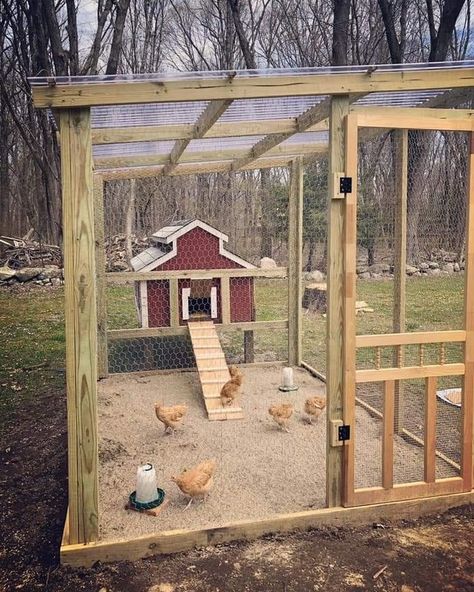 Reban Ayam, Cute Chicken Coops, Chicken Coop Garden, Easy Chicken Coop, Chicken Barn, Backyard Chicken Coop Plans, Diy Chicken Coop Plans, Chicken Coop Run, Backyard Chicken Farming