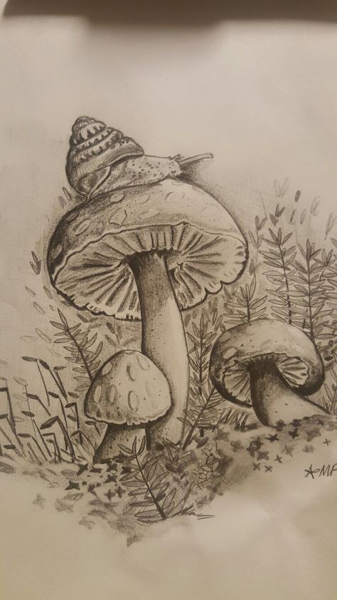 Snail Mushroom Drawing, Mushroom Sketches Pencil, Pencil Art Drawings Mushroom, Mushroom Pencil Sketch, Forest And Mushroom Drawing, Mushroom Snail Art, Drawings Of Mushrooms Pencil, Mushroom Drawing Colored Pencil, Mushroom Realistic Drawing