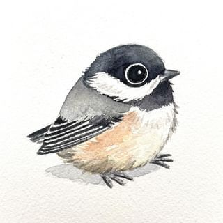 Heike Kuzminski (@heikekuzminski) • Instagram photos and videos Chickadee Illustration, Drawing A Bird, Chickadee Drawing, Chickadee Art, Bird Artists, Bird Crafts, Bird Artwork, German Art, Canadian Art