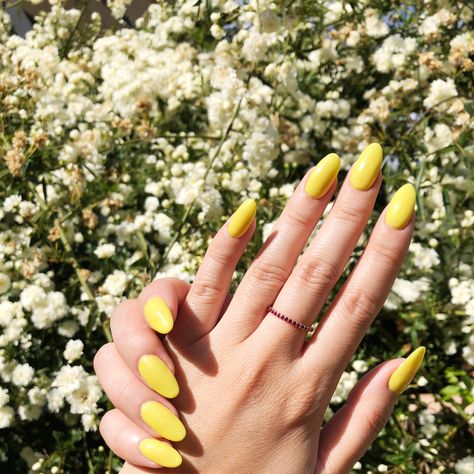 Color Story 🎨 PA11 ✨ Contains Medium-Grain Glitter 💅 Pure sunshine in a dip powder, this true yellow has a hint of sparkle, and will brighten any outfit. Consider your nails, done. Get salon-quality dip nails, for a fraction of the salon price. With over 200 colors, you can find the right color for every need! Benefits - Our powders are highly pigmented- Powders may be used up to 30 sets- DipWell nails last 3-6 weeks without chipping- Better alternative to traditional acrylic systems- Easy soa Dipwell Nails, Acrylic Nails Yellow, Different Color Nails, Dip Nail Colors, Pastel Nails Designs, Pastel Nail Polish, Dip Nails, Nail Pops, Studded Nails