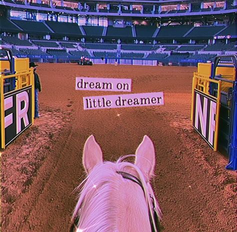 Barrel Racing Aesthetic Wallpaper, Western Asthetics, Barrel Racer Aesthetic, Dreamer Wallpaper, Barrel Racing Aesthetic, Dear Rodeo, Western Collage, Rodeo Quotes, Western Aesthetic Wallpaper