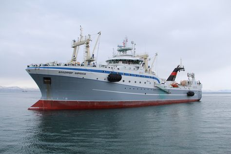 EU won't give import approval for new Russian fishing vessels - Undercurrent News Salmon And Shrimp, European Commission, Fishing Vessel, Boats, Ferrari, Fishing, Ships, Fish, Quick Saves