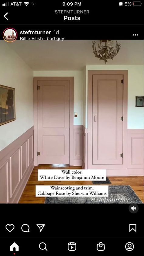 White Wall Pink Trim, Light Pink Wainscoting, Blush Pink Wainscotting, Closet Room Paint Colors, Blush Wainscoting, Behr Retro Pink Bedroom, Dusty Pink Cabinets, Sw Rose Colored Paint, Pink Chair Rail Nursery