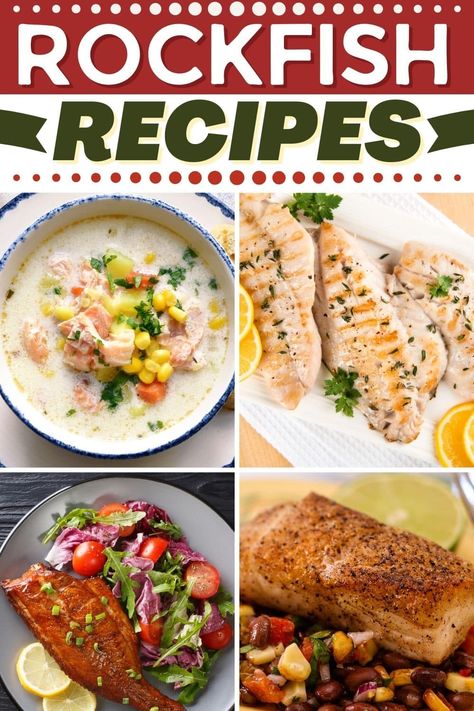 Try these rockfish recipes for tasty meals any night of the week! From pan-seared to tacos to grilled and steamed, this flaky white fish can't be beat. Rock Fish Recipe Healthy, Rockfish Recipes Pan Seared, Rockfish Recipe, Fish Filet Recipes, Rockfish Recipes, Filet Recipes, Rock Fish, Alpha Gal, Cod Fish Recipes