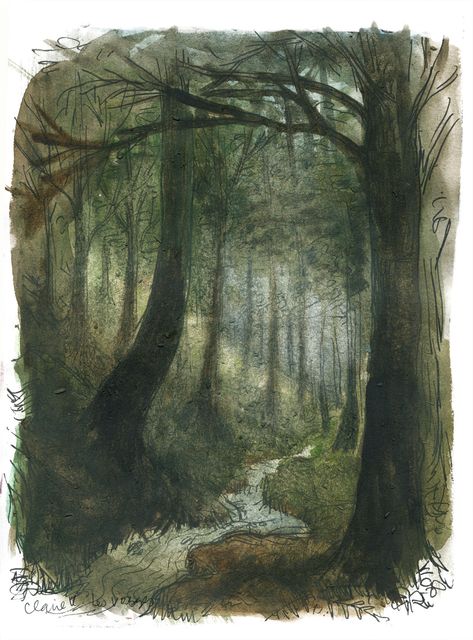 Claire Keane, Forest Drawing, Summer Watercolor, Forest Illustration, Forest Painting, Art Story, Sketchbook Ideas, Arte Sketchbook, A Level Art