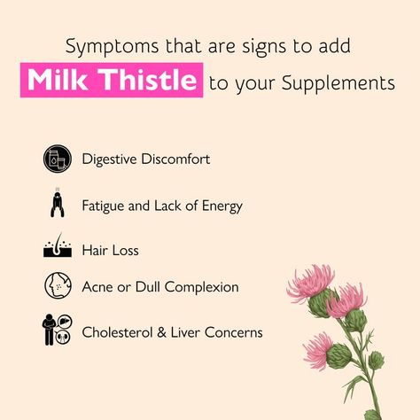 Thistle Benefits, Fat Burning Excercise, Milk Thistle Benefits, Heart Diet, Holistic Diet, Medical Facts, Wax Strips, Stomach Problems, Lack Of Energy