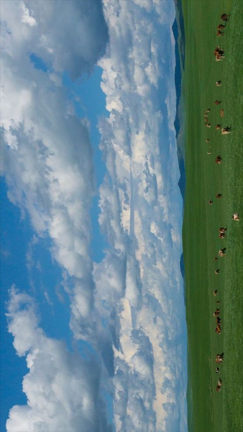 Grassland of Neimenggu or Inner Mongolia. Inner Mongolia, Mongolia