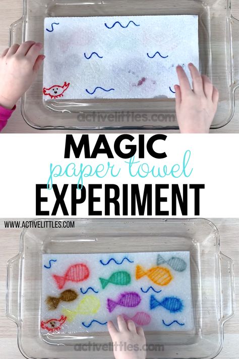 Here is a fun and easy paper towel experiment you can try at home! Watch as the magic unfolds when what you draw becomes apparent! So magical for kids! Paper Towel Experiment, Kid Experiments At Home, Spring Science Experiments, Good Friday Crafts, Fun Experiments For Kids, Spring Science, Paper Towel Crafts, Water Experiments, Science For Toddlers