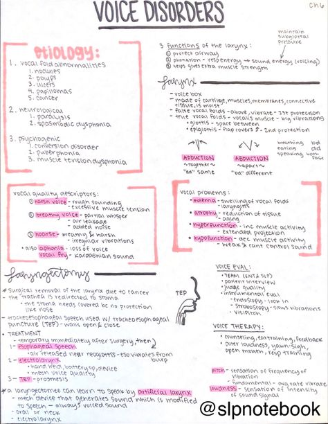 Voice Disorders Speech Therapy, Slp Study Notes, Acute Care Slp, Slp Praxis Study Guide, Speech Therapist Aesthetic, Speech Language Pathology Aesthetic, Speech Pathology Aesthetic, Speech Pathology Grad School, Slp Praxis