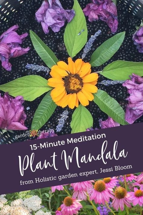 Mandala Meditation Practice with Plants: Creating Sanctuary. Practice mindfulness by engaging in a mandala meditation using a variety of found garden treasures. Discover the effects of color on emotions and how texture stimulates the senses in this quick 15-minute ritual that can be done right in your own garden. #gardentherapy #mandala #meditation Eco Art Therapy Ideas, Horticulture Therapy Activities, Horticultural Therapy Activities, Therapeutic Horticulture, Counseling Notes, Therapeutic Garden, Wellness Sanctuary, Sanctuary Garden, Dirt Therapy