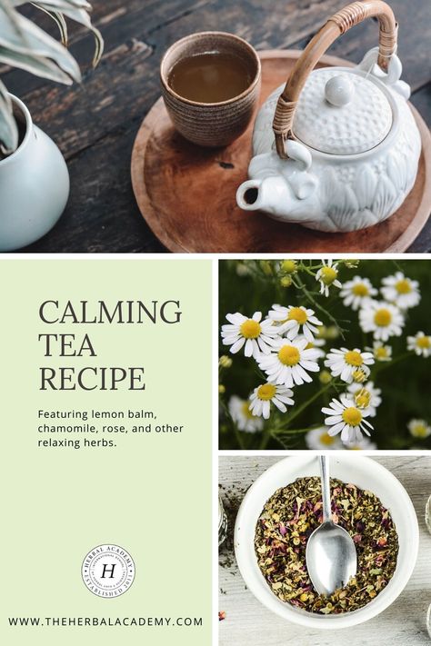 Calming Tea Recipe & Natural Stress Management (With Video!) | The Herbal Academy | Simple lifestyle practices to go-to formulas, like our Calming Tea Recipe, can help us better manage and cope with stress naturally. Tea Blends Recipes, Calming Tea, Medicinal Tea, Herbal Teas Recipes, Ginger Benefits, Juice Fast, Simple Lifestyle, Herbal Tinctures, Herbal Recipes