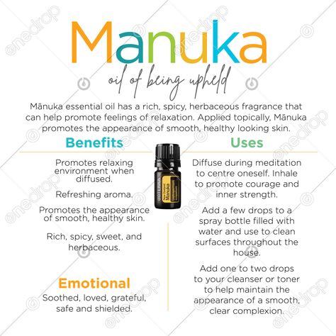 Litsea Essential Oil Benefits, Litsea Diffuser Blend, Litsea Doterra, Orange Benefits, Manuka Essential Oil, Onguard Doterra, Doterra Wild Orange, Manuka Oil, Wild Orange Essential Oil