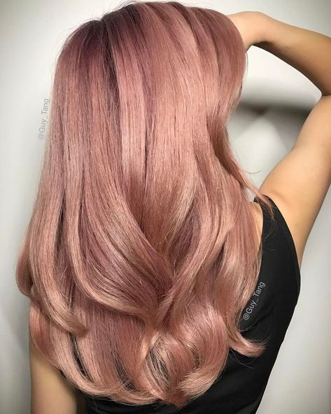 Rose Gold Hair Brunette, Gold Hair Colors, Berry Good, Hair Color Rose Gold, Hair Color Pastel, Long Hair Color, Strawberry Blonde Hair, Pretty Hair Color, Bun Hairstyles For Long Hair