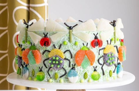 Make a Chic Gummy Bug Cake | Erin Bakes Gardner Cake, Bug Cake Pops, Swamp Cake, Bugs Cake, Bug Birthday Cakes, Caterpillar Cake, Bug Cake, Bug Party, Nature Party